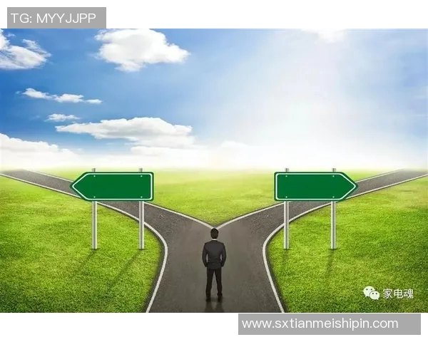 杭州排球队的转型升级之路:从传统到现代的全新探索与实践