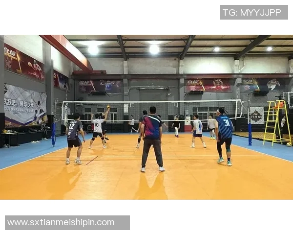 杭州排球队状态引发热议球迷对表现和战术分歧明显
